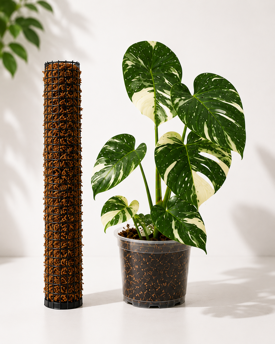 Handmade Moss Pole different sizes
