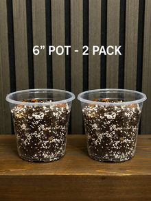 Chunky Soil Mix for Tropical Plants with Clear Pot, Reusable Portable Planting Bag, Multiple Sizes