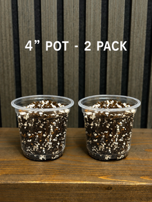 Chunky Soil Mix for Tropical Plants with Clear Pot, Reusable Portable Planting Bag, Multiple Sizes