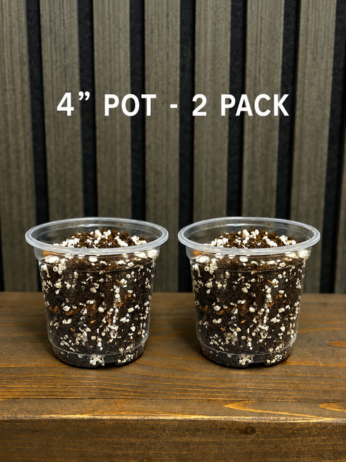 Chunky Soil Mix for Tropical Plants with Clear Pot, Reusable Portable Planting Bag, Multiple Sizes