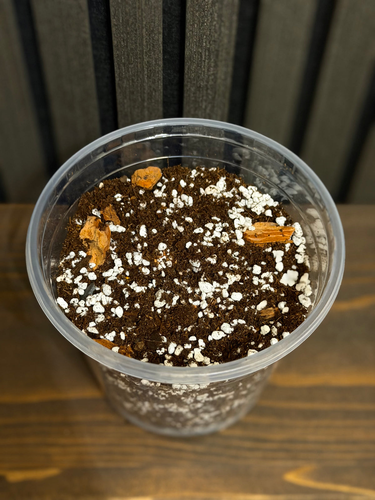 Chunky Soil Mix for Tropical Plants with Clear Pot, Reusable Portable Planting Bag, Multiple Sizes