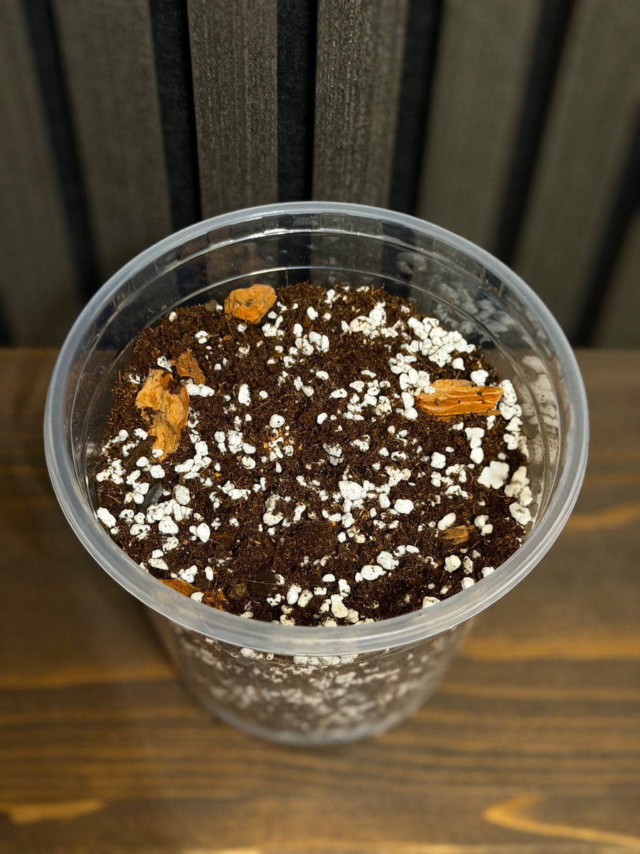 Soil & Fertilizer