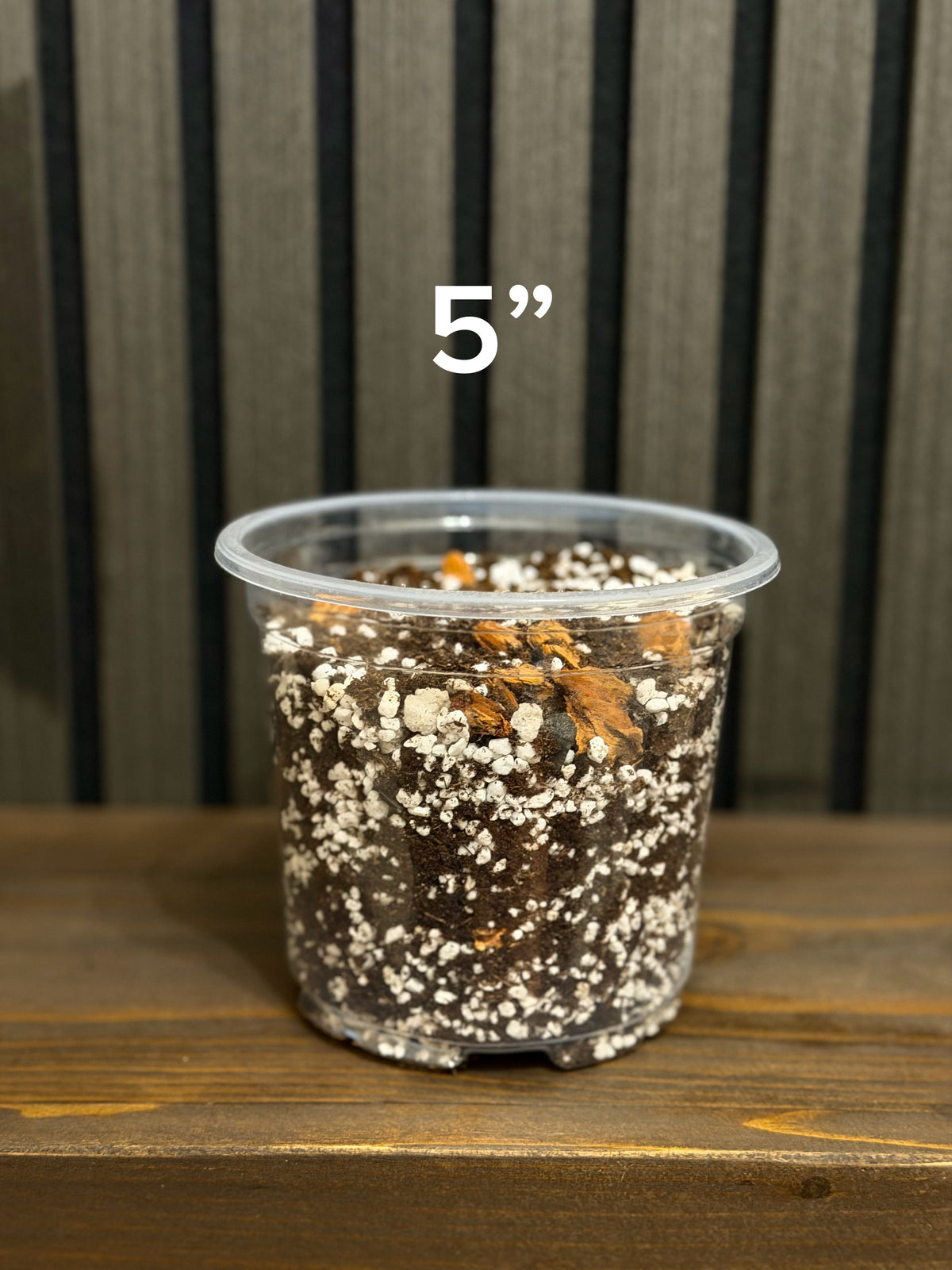Chunky Soil Mix for Tropical Plants with Clear Pot, Reusable Portable Planting Bag, Multiple Sizes